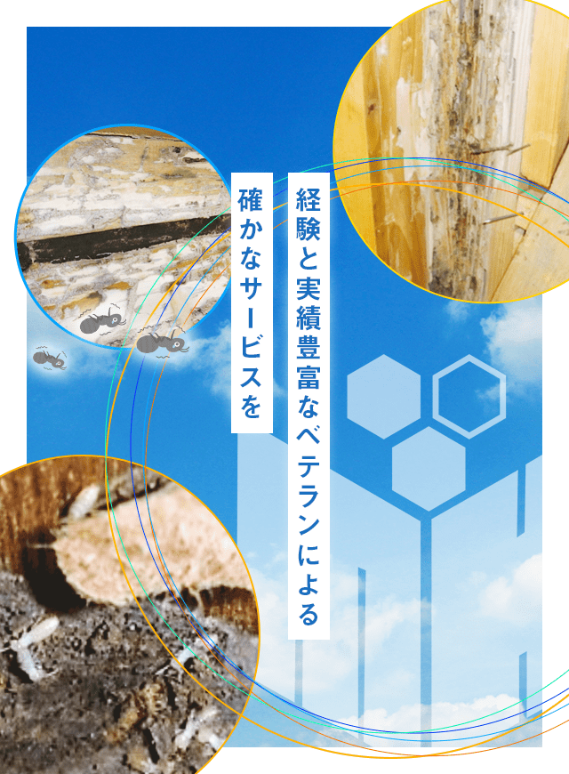 経験と実績豊富なベテランによる確かなサービスを