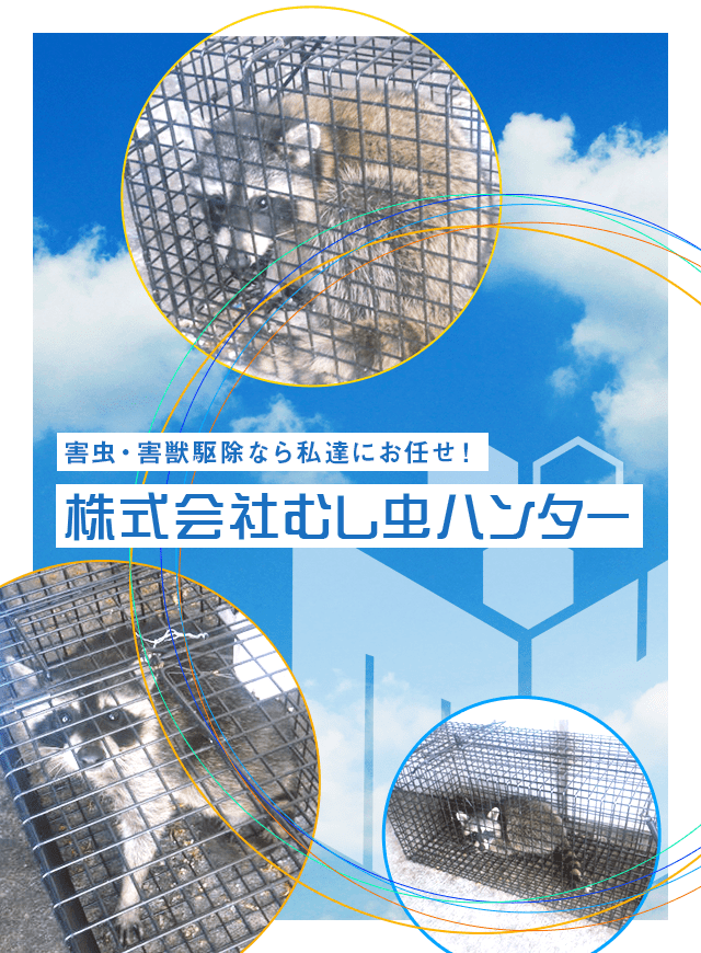 害虫・害獣駆除なら私達にお任せ！株式会社むし虫ハンター